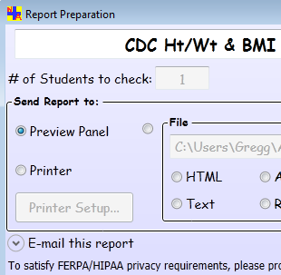 Report Preparation form